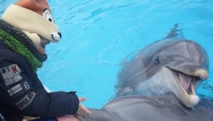 Les 24 et 25 mars, Enzo dresse les dauphins du parc Astérix